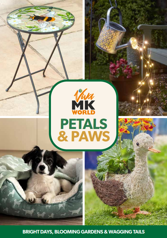 Screenshot 2026-02-03 105040